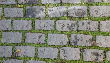 Eski kaldırım taşları ile çim. arka plan