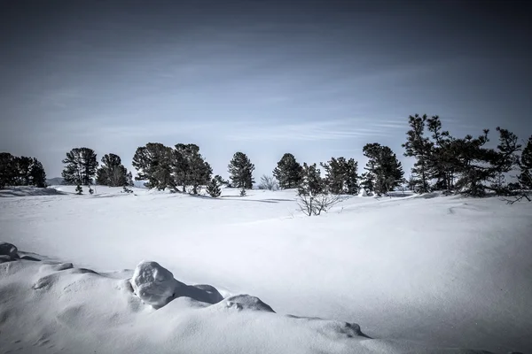 Baikal. Heilige Nase. barguzinsky golfküste in der winte — Stockfoto