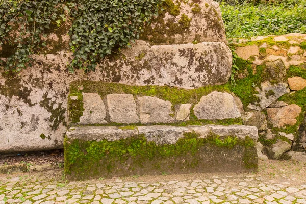 Geplaveide weg naar het paleis schuim onder de rotsen en de bomen een — Stockfoto