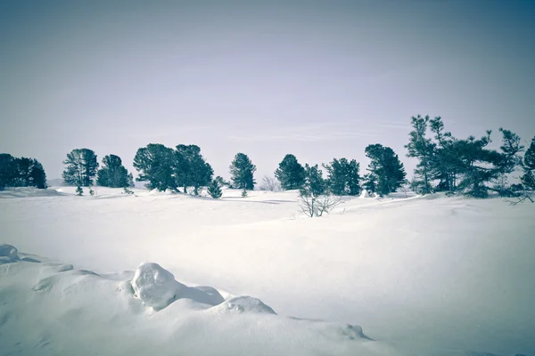 Baikal. Península de Santa Nariz. Costa del Golfo de Barguzinsky en el winte — Foto de Stock