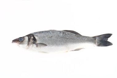 fresh sea bass on a light background clipart