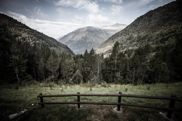 Bewaldete Täler zwischen den Bergen. andorra — Stockfoto