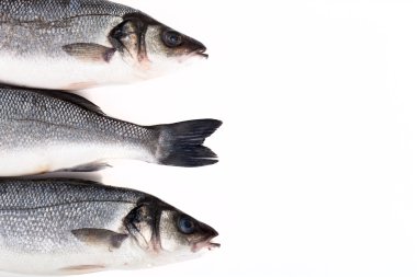 Hafif bir arka plan üzerinde üç taze deniz levreği. kuyrukları ve iki kafa.