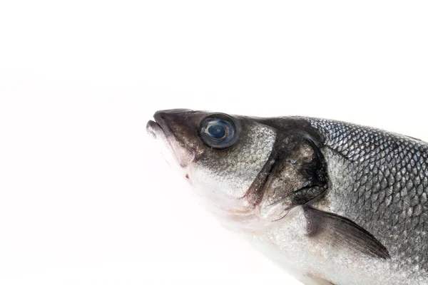 Fresh sea bass on a light background. With space for text — Stock Photo, Image