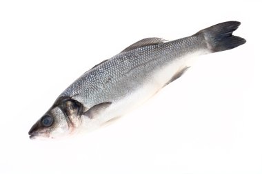 fresh sea bass on a light background clipart