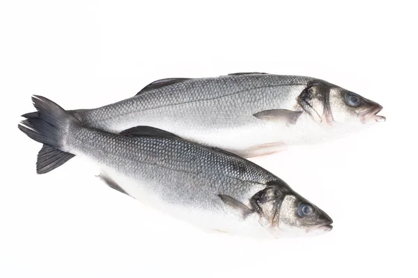 Two fresh fish on a light background. — Stock Photo, Image