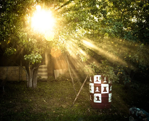 The sun's rays passing through the pear and lighting plot. tinte — Stock Photo, Image