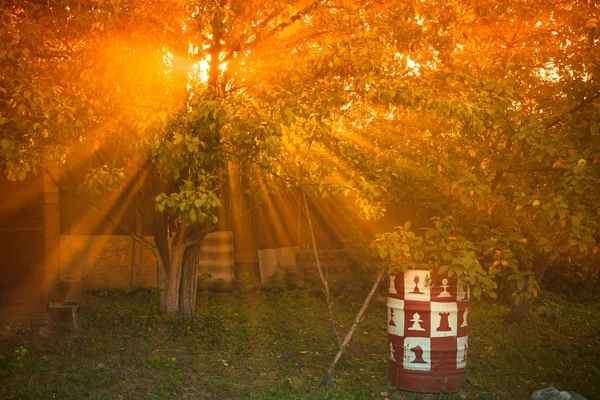 Die Sonnenstrahlen, die durch die Birnen- und Lichtanlage gehen — Stockfoto