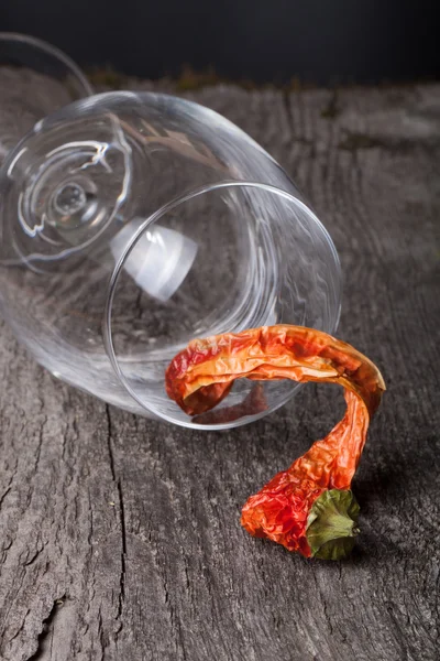 Pimientos rojos picantes en un vaso sobre un fondo de madera oscura — Foto de Stock