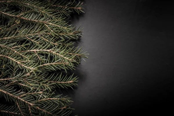 Grenar av en julgran på en mörk bakgrund. Med utrymme för — Stockfoto