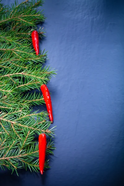 Branches of a Christmas tree decorated with chili peppers on a d — Stock Photo, Image