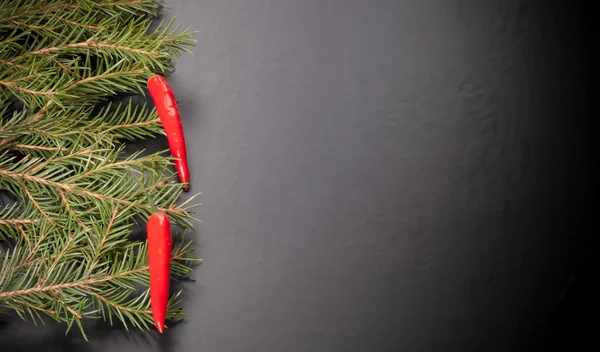 Branches of a Christmas tree decorated with chili peppers on a d — Stock Photo, Image