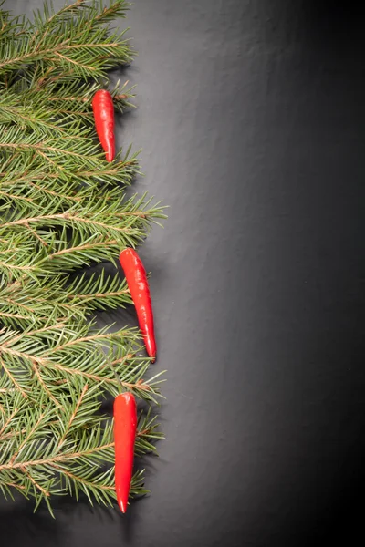 Branches of a Christmas tree decorated with chili peppers on a d — Stock Photo, Image