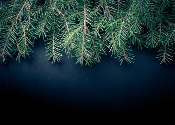 Las ramas del árbol de Navidad sobre el fondo oscuro. Con espacio fo — Foto de Stock