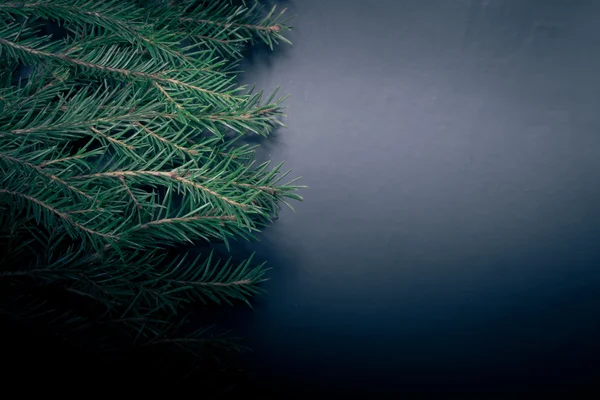 Takken van een kerstboom op een donkere achtergrond. Met ruimte fo — Stockfoto