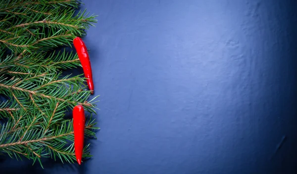Ветви рождественской елки, украшенные перцем чили на d — стоковое фото