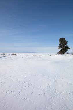 Deniz Baykal, kış manzarası