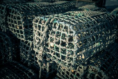 Yengeç ve ıstakoz Port yakalamak için tuzaklar