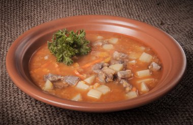 Seramik tabak sebze çorbası ayakta tutuyordu. renkli 