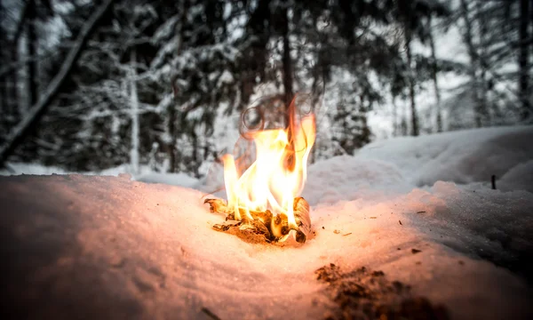 Ognisko na snowy rozliczeń w lesie. Stonowanych — Zdjęcie stockowe