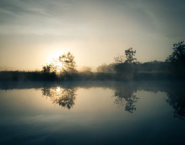 Neblige Dämmerung über dem Fluss. die Sonnenstrahlen hinter einem Baum — Stockfoto