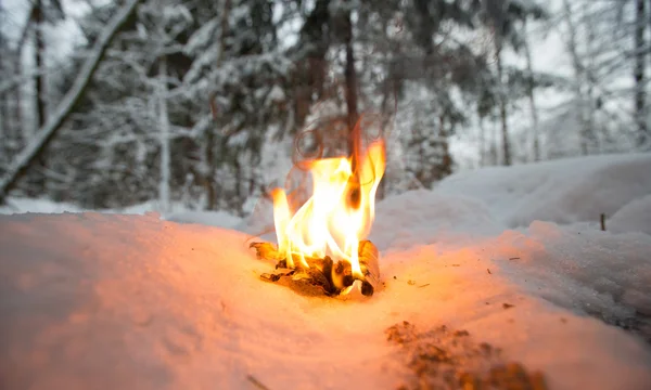 Костер на снежной поляне в лесу — стоковое фото