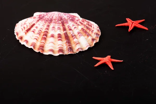 Stelle rosse e conchiglia sul vecchio sfondo nero squallido — Foto Stock