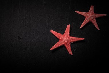 Eski püskü eski siyah arka plan üzerinde kırmızı starfishes. Tonda