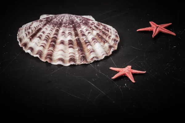 Red starfishes and seashell on the old black shabby background.