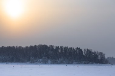Ormanın yakınında karla kaplı alanda birçok bayrakları