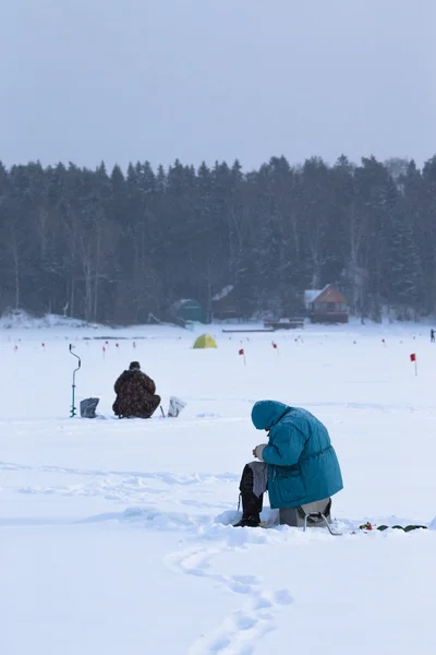 Pescadores en el campo cubierto de nieve cerca del bosque —  Fotos de Stock