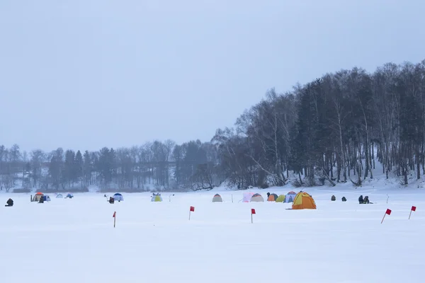 Many flags and tents on the snow-covered field near the forest