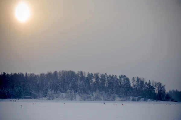 Viele Fahnen auf dem schneebedeckten Feld am Waldrand — Stockfoto