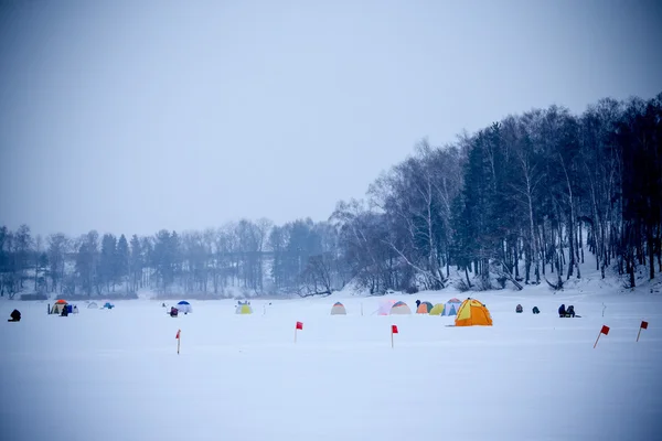 多くのフラグと森の近く雪に覆われたフィールドのテント — ストック写真