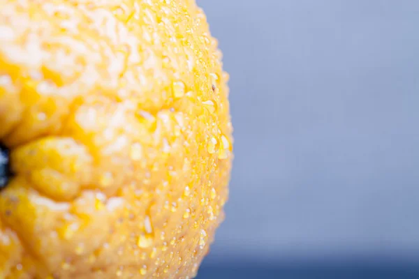 Orange med vatten droppar på huden närbild på en ljus ba — Stockfoto
