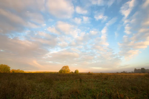 Beautiful clouds over the field near the forest. Summer — Stock Photo, Image