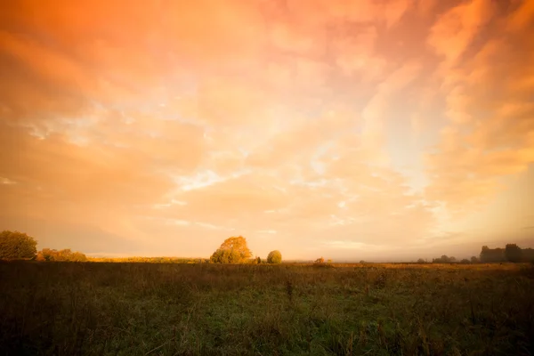 Krásné mraky nad pole nedaleko lesa. V létě. Tónovaný — Stock fotografie