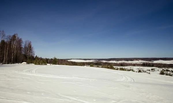 Snow-covered field near forest and blue sky. Winter. TOned — Stock Photo, Image