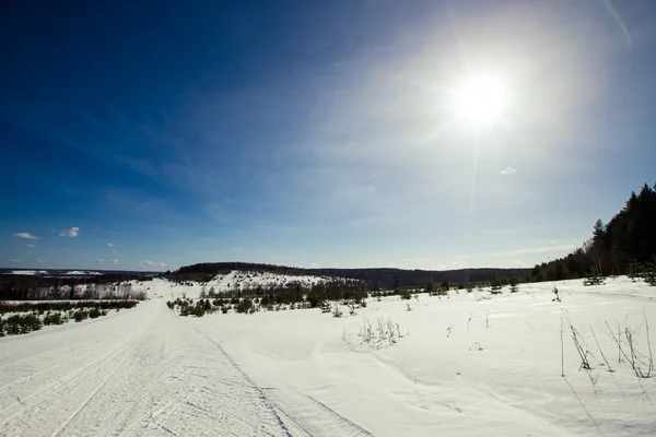 森と青空の近く雪に覆われたフィールド。冬。トーン — ストック写真