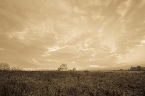 Beautiful clouds over the field near the forest. Summer. Toned — Stock Photo, Image