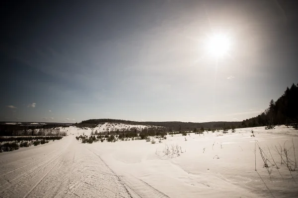 Campo coberto de neve perto da floresta e céu azul. Inverno. Tonificado — Fotografia de Stock