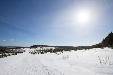 Karla kaplı alan orman ve mavi gökyüzü yakınındaki. Kış