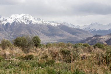Fann dağlarının vadide ormanda. Landsca