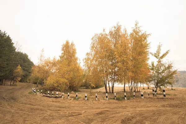 Track racen in de herfst bos. Landschap. Afgezwakt — Stockfoto