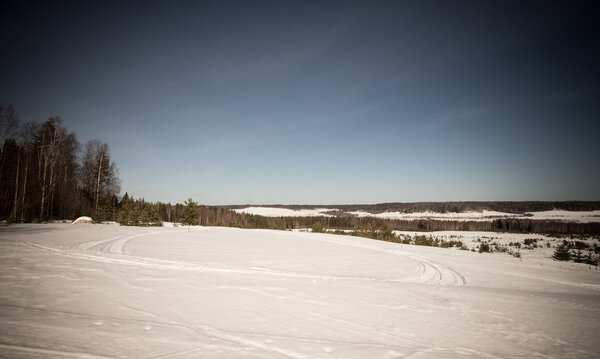 Snow-covered field near forest and blue sky. Winter. TOned