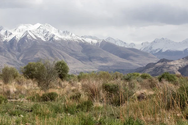 Fann dağlarının vadide ormanda. Landsca — Stok fotoğraf