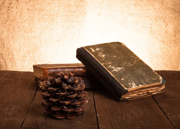 Une pile de vieux livres et un cône de pin sur une vieille table en bois contre t — Photo