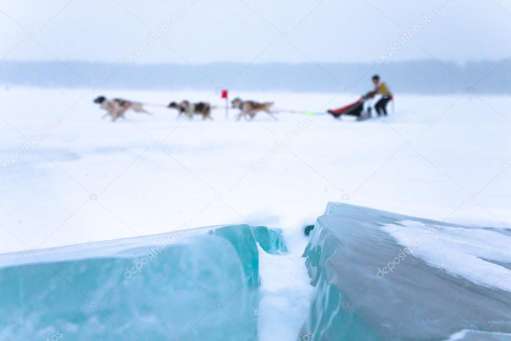 crack in the ice on a clean background dog sledding. Shallow dep