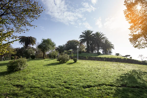 Sonniger Tag im Park. Gras, Bäume, Büsche, Wolken — Stockfoto