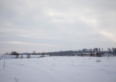 Karlı kış manzarası. Orman ve gökyüzü arka plan